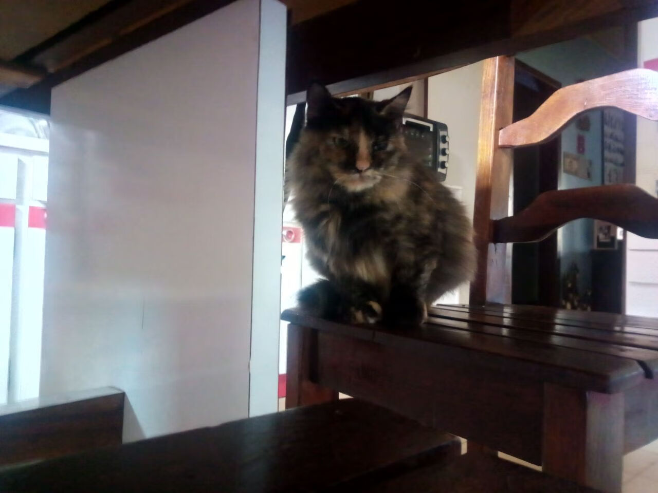 爱游戏登录-NBA推动女性裁判执法常规赛，联盟性别多元化再升级，nba女裁判员