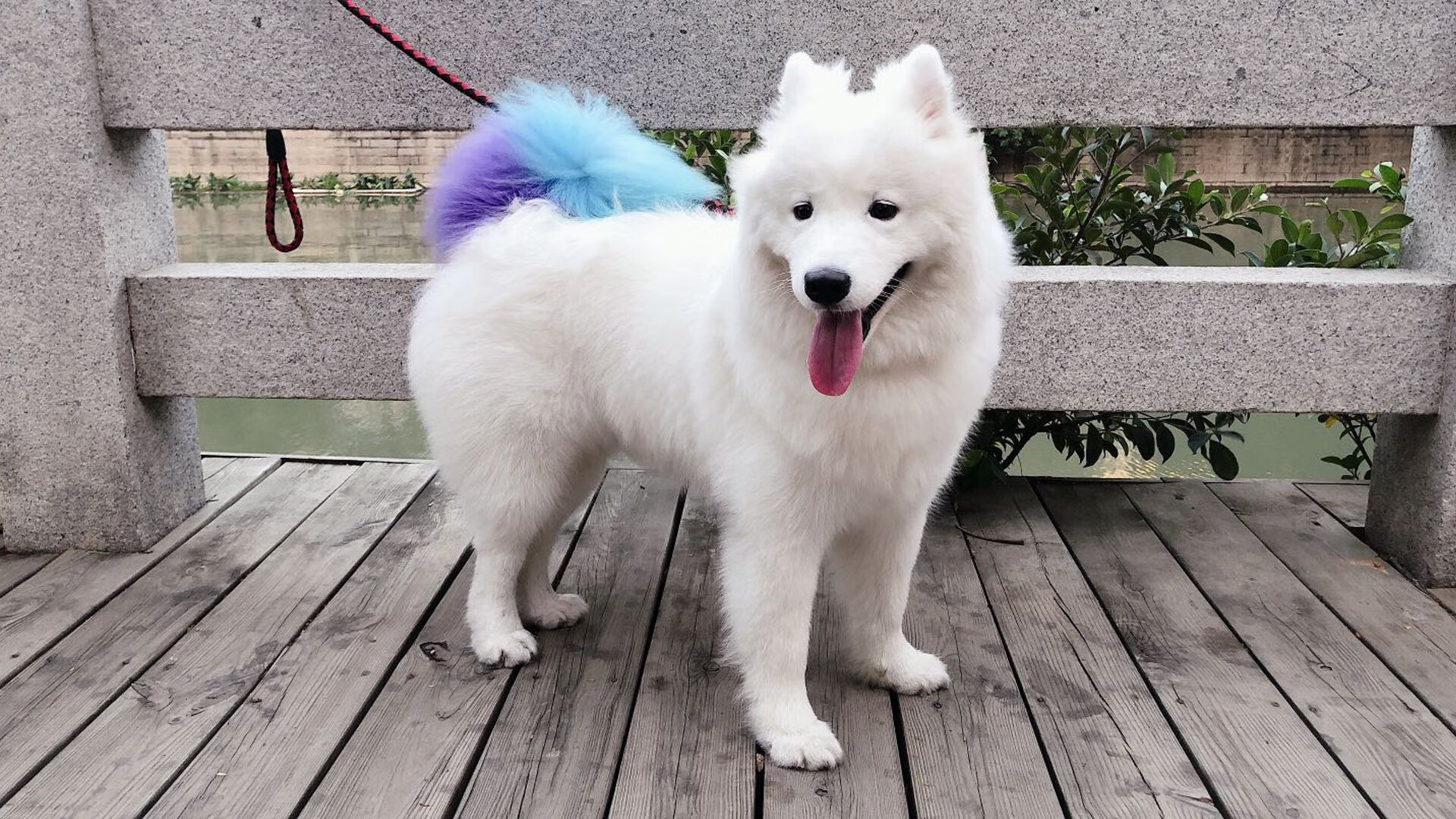 NBA新秀榜更新,文班亚马继续高居第一,nba新秀榜眼